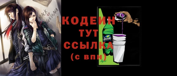 твердый Осташков