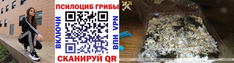 Псилоцибиновые грибы Cubensis  площадка как зайти  Шенкурск  MEGA как войти 
